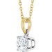 Accented Necklace or Pendant