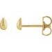 Teardrop Stud Earrings