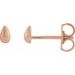 Teardrop Stud Earrings