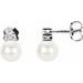 Accented Pearl Earrings