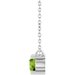 Accented Necklace & Center