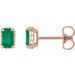 Hidden Halo-Style Stud Earrings