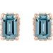 Hidden Halo-Style Stud Earrings