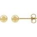 Ball Stud Earrings