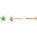 Star Cabochon Earrings