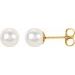 Pearl Stud Earrings