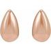 Teardrop Stud Earrings