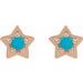 Star Cabochon Earrings