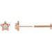 Star Cabochon Earrings