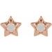 Star Cabochon Earrings