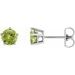 Solitaire Stud Earrings