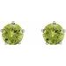 Solitaire Stud Earrings