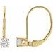 Round Lever Back Earrings