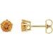 Solitaire Stud Earrings