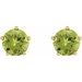 Solitaire Stud Earrings