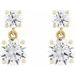 Two-Stone Dangle Earrings