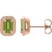 Round 4-Prong Claw Bezel-Style Stud Earrings