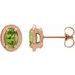 Round 4-Prong Claw Bezel-Style Stud Earrings