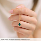 Accented Necklace or Pendant