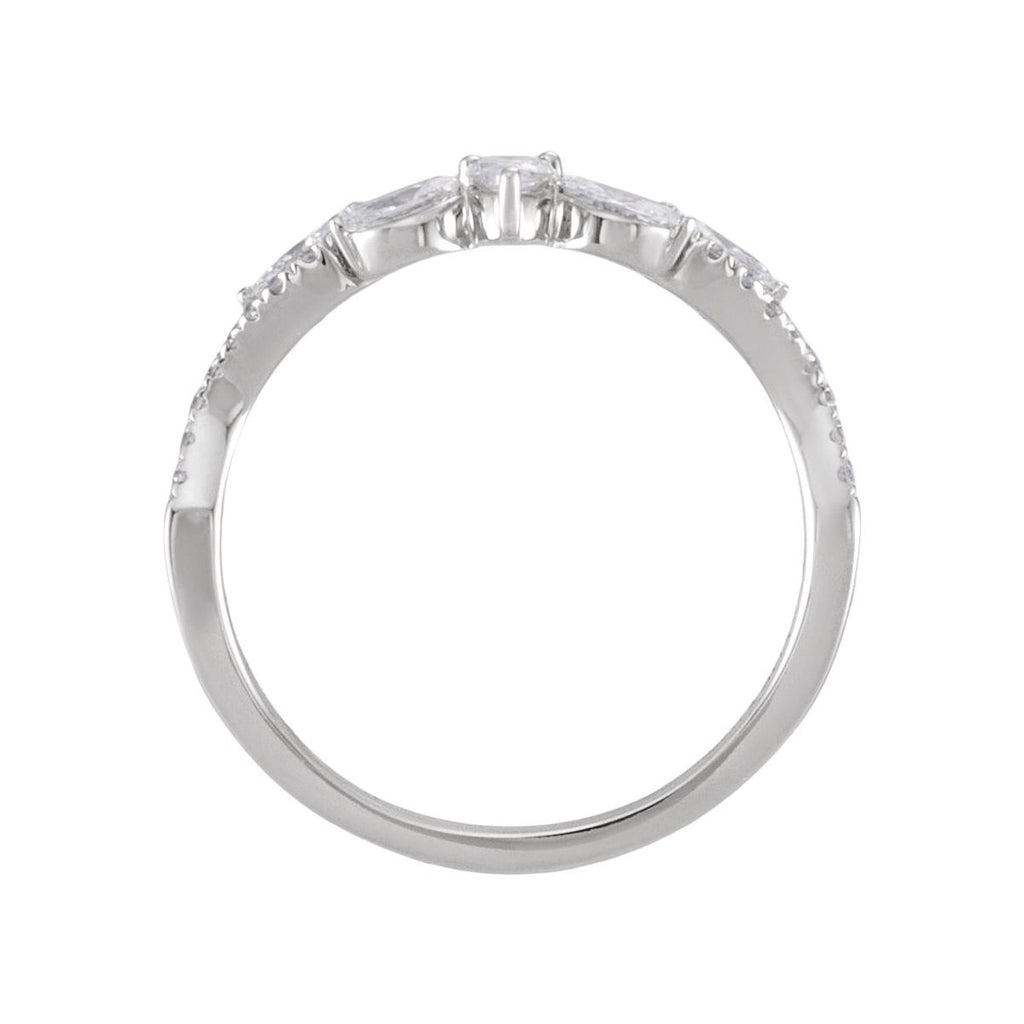 Contour Band