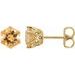 Round 6-Prong Crown Stud Earrings