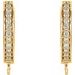 Accented Hoop Earring Top