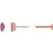 Solitaire V-Prong Stud Earrings