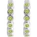 Hinged Hoop Earrings