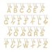 Accented Initial Necklace