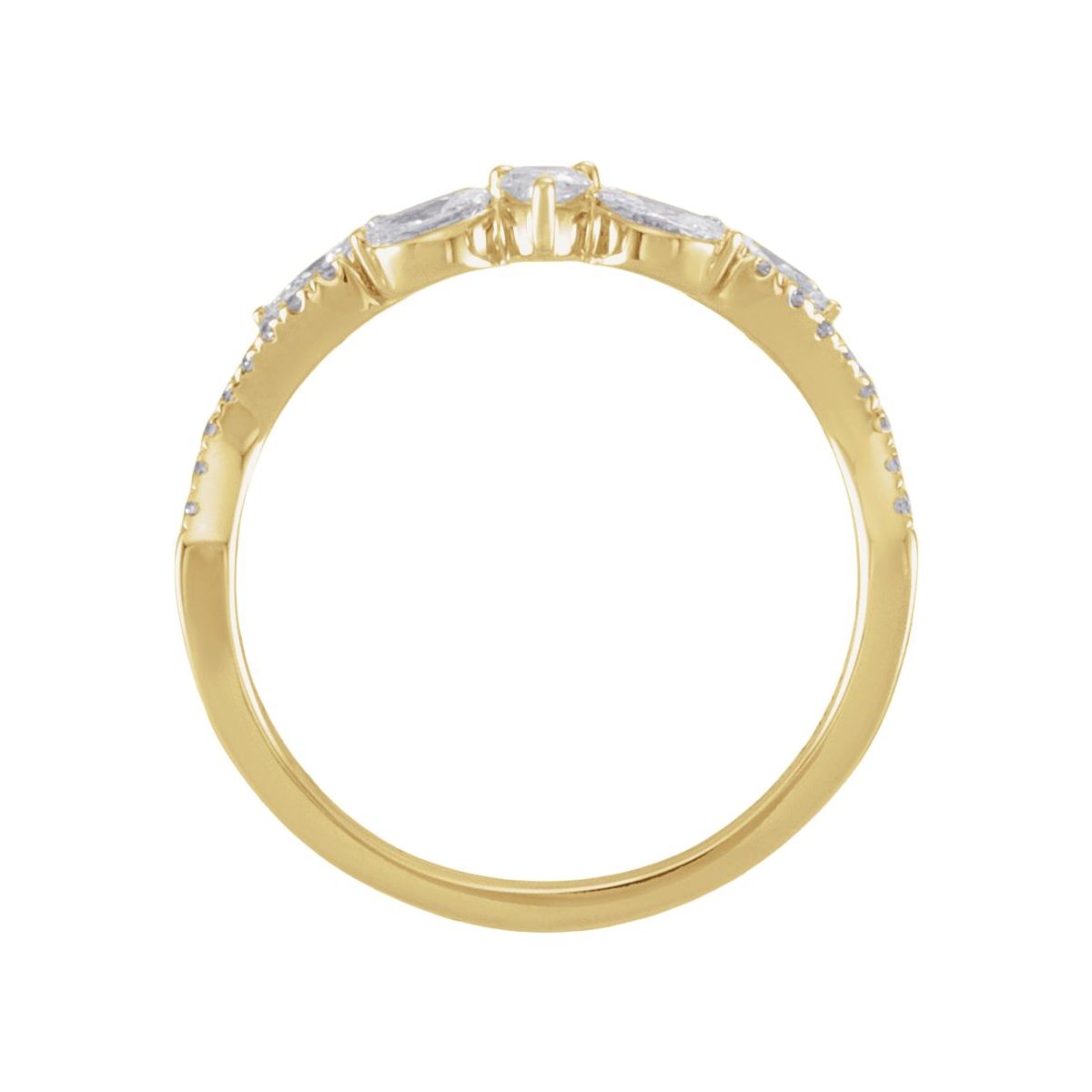 Contour Band