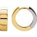 Hinged Hoop Earrings