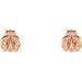 Lady Bug Earrings
