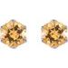 Round 6-Prong Crown Stud Earrings