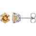 Round 6-Prong Crown Stud Earrings