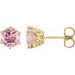 Round 6-Prong Crown Stud Earrings