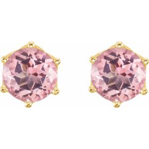 Round 6-Prong Crown Stud Earrings