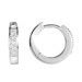 Accented Hoop Earrings