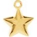 Posh Mommy® Puffed Star Charm/Pendant or Dangle