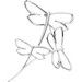 Dragonfly Brooch