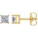 Square 4-Prong Stud Earrings