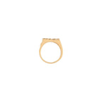 Nugget Onyx Ring