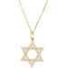 Accented Star of David Necklace or Pendant