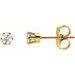 Round 6-Prong Stud Earrings