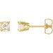 Round 4-Prong Stud Earrings