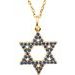 Accented Star of David Necklace or Pendant