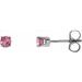 Round 4-Prong Youth Birthstone Stud Earrings