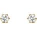Round 6-Prong Stud Earrings