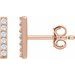 Bar Earrings