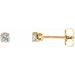 Round 4-Prong Stud Earrings