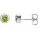 Round Bezel-Set Birthstone Stud Earrings